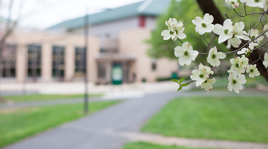 Student Center with white flowers on tree
